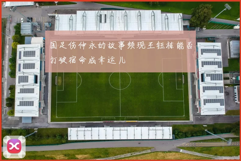 国足伤仲永的故事频现王钰栋能否打破宿命成幸运儿