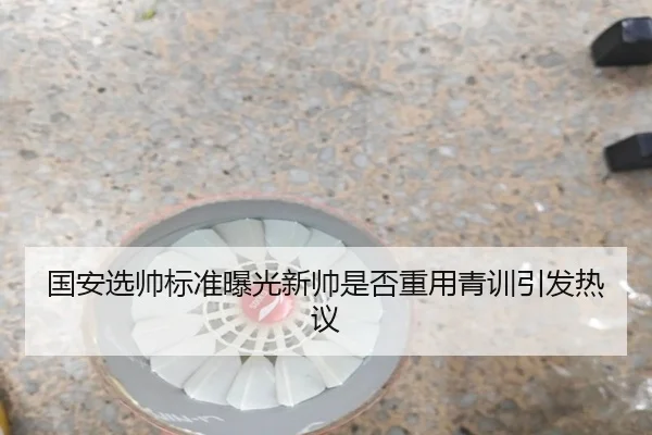 国安选帅标准曝光新帅是否重用青训引发热议 - leyu