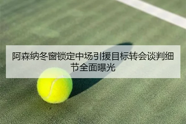 阿森纳冬窗锁定中场引援目标转会谈判细节全面曝光 - leyu.com